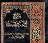 شرح ابن عقيل على  ألفية ابن مالك